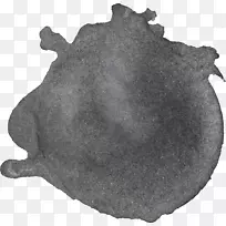 Ë®²Ê»-¿ÕÈôÍø Ë®²Ê»-¿ÕÈôÍø