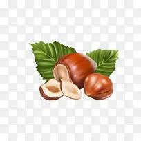 图榛子夹艺术图像-橡子-空若网 图榛子夹艺术图像-橡子-空若网