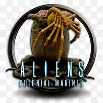 外来昆虫底栖动物字体-空若网 外来昆虫底栖动物字体-空若网