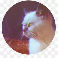 ºúÐëСè±Ç×ÓСè-¿ÕÈôÍø ºúÐëСè±Ç×ÓСè-¿ÕÈôÍø