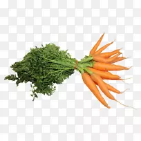 pngͼƬ���ܲ�������ͼ������ͼ��.�߲˺��ܲ�ͼƬ-������