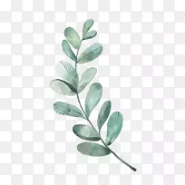 Ë®²Ê»Ò¶»-¿ÕÈôÍø Ë®²Ê»Ò¶»-¿ÕÈôÍø