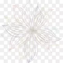 花瓣对称花纹线叶线-空若网 花瓣对称花纹线叶线-空若网