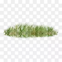 剪贴画草坪png图片草图像.草-空若网 剪贴画草坪png图片草图像.草-空若网