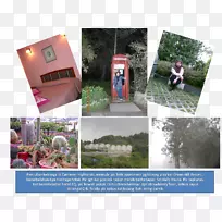 广告树娱乐仪表庭院树-空若网 广告树娱乐仪表庭院树-空若网