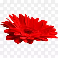 剪贴画-空若网 剪贴画-空若网