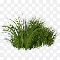 草坪剪贴画-空若网 草坪剪贴画-空若网