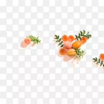 饮食食品超食天然食品.FRU-空若网 饮食食品超食天然食品.FRU-空若网