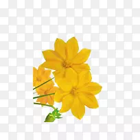 封装后记绿色画廊花园花卉-空若网 封装后记绿色画廊花园花卉-空若网