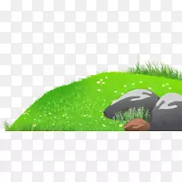 免费内容剪贴画-卷草剪贴画-空若网 免费内容剪贴画-卷草剪贴画-空若网