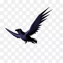 鸟类动画电影羽毛血鸟-空若网 鸟类动画电影羽毛血鸟-空若网