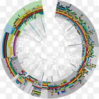 产品设计线字体设计-空若网 产品设计线字体设计-空若网
