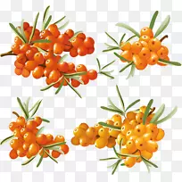 ������-������