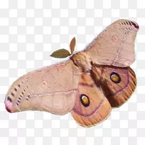 ºûµûÀ¥³æ-ºûµû-¿ÕÈôÍø ºûµûÀ¥³æ-ºûµû-¿ÕÈôÍø