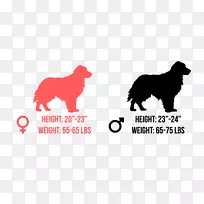 犬种标志鼻子字体-金毛猎犬小狗-空若网 犬种标志鼻子字体-金毛猎犬小狗-空若网