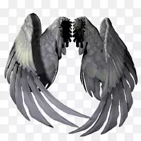 pngͼƬadobe PhotoshopÌìʹ¼ôÌù»gif-Ììʹ³á°òͼ±ê-¿ÕÈôÍø pngͼƬadobe PhotoshopÌìʹ¼ôÌù»gif-Ììʹ³á°òͼ±ê-¿ÕÈôÍø