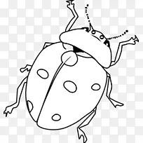 蝴蝶着色书昆虫剪贴画吉他手剪贴画-空若网 蝴蝶着色书昆虫剪贴画吉他手剪贴画-空若网