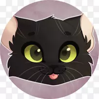 家用短毛猫鼻子猫-空若网 家用短毛猫鼻子猫-空若网