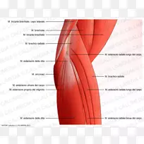 �����ⲿ����ϵͳ���ʼ�-������