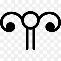 女性生殖系统卵巢输卵管人体-空若网 女性生殖系统卵巢输卵管人体-空若网