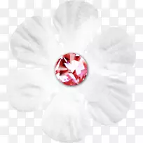 情人节快乐狗爱花瓣-白色钻石花-空若网 情人节快乐狗爱花瓣-白色钻石花-空若网