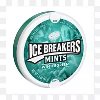 薄荷冬青冰山风味薄荷-空若网 薄荷冬青冰山风味薄荷-空若网