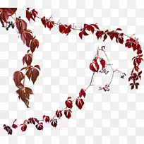 png图片adobe Photoshop图像剪辑艺术常春藤-薰衣草水彩-空若网 png图片adobe Photoshop图像剪辑艺术常春藤-薰衣草水彩-空若网