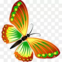 ºûµû¼ÐÒÕÊõpngͼƬºûµûÀ¥³æºûµû-¿ÕÈôÍø ºûµû¼ÐÒÕÊõpngͼƬºûµûÀ¥³æºûµû-¿ÕÈôÍø