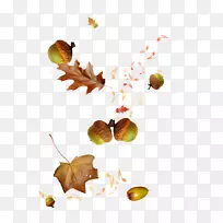 秋季动画博客-紫锥菊叶笔记-空若网 秋季动画博客-紫锥菊叶笔记-空若网