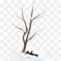 ��֦ѩƬ����-��ɫ����ѩ����ԵͼƬ-������