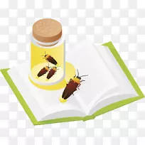 产品昆虫材料昆虫-空若网 产品昆虫材料昆虫-空若网