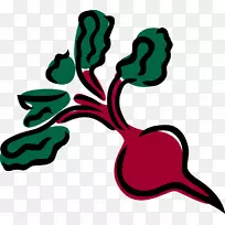 ����߲˼����������߲�ͼƬ-������