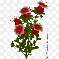 切花植物艺术插图-花卉-空若网 切花植物艺术插图-花卉-空若网