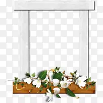 花卉设计切花花瓣花-空若网 花卉设计切花花瓣花-空若网