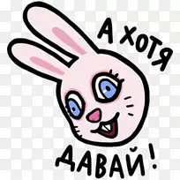 ��ֽ������ɫҩ��������۸�-����-������