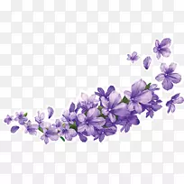 舒里古鲁布隆公司薰衣草信息-空若网 舒里古鲁布隆公司薰衣草信息-空若网