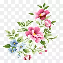 ���ܼ�������������ֽ-��-������