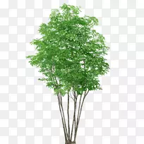 pngͼƬ������������ͼƬ��-������