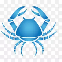 ��֢ռ��ѧ����ռ����-��֢(ռ����)-������