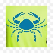 ��֢ռ��ѧ����ռ����-��֢(ռ����)-������