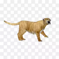 萨凡纳动物园大亨2只陆生动物大猫-空若网 萨凡纳动物园大亨2只陆生动物大猫-空若网