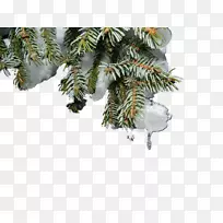 ѩʥ����-����ʥ����ѩ-������