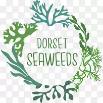 海藻植物茎叶开花植物-空若网 海藻植物茎叶开花植物-空若网