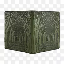 矩形蕨类植物-空若网 矩形蕨类植物-空若网