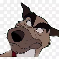 胡须、狗、猫、马、鼻子、狗-空若网 胡须、狗、猫、马、鼻子、狗-空若网