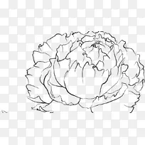 ĵ��������Ӱ-ĵ��-������