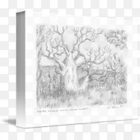 ����ֽ������ͼ����-������