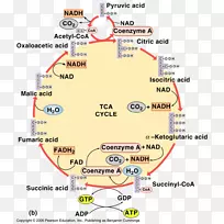 线点角图-线-空若网 线点角图-线-空若网