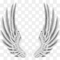 桌面壁纸绘图夹艺术.翅膀-空若网 桌面壁纸绘图夹艺术.翅膀-空若网