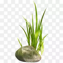 草坪剪贴画-空若网 草坪剪贴画-空若网